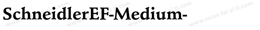 SchneidlerEF-Medium字体转换