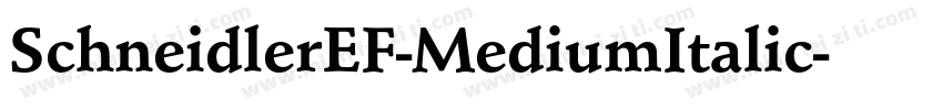 SchneidlerEF-MediumItalic字体转换