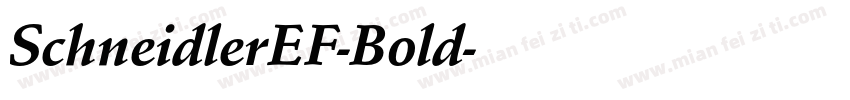 SchneidlerEF-Bold字体转换