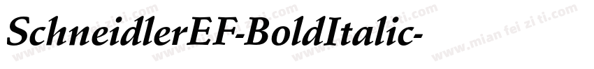 SchneidlerEF-BoldItalic字体转换