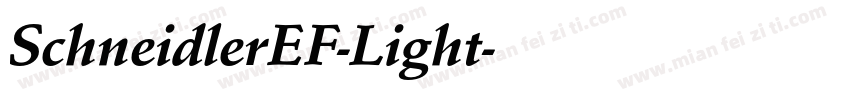 SchneidlerEF-Light字体转换