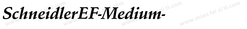 SchneidlerEF-Medium字体转换