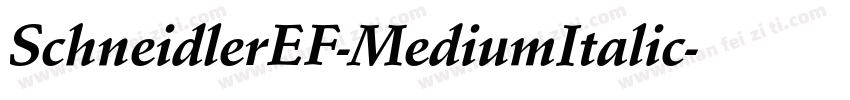SchneidlerEF-MediumItalic字体转换
