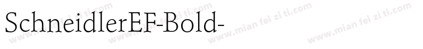 SchneidlerEF-Bold字体转换