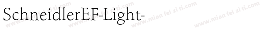 SchneidlerEF-Light字体转换