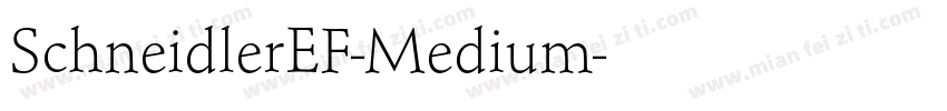 SchneidlerEF-Medium字体转换
