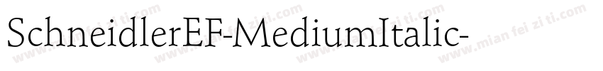 SchneidlerEF-MediumItalic字体转换