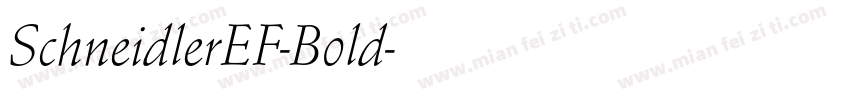 SchneidlerEF-Bold字体转换