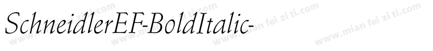 SchneidlerEF-BoldItalic字体转换