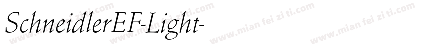 SchneidlerEF-Light字体转换