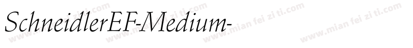 SchneidlerEF-Medium字体转换