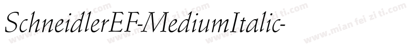 SchneidlerEF-MediumItalic字体转换