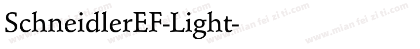 SchneidlerEF-Light字体转换