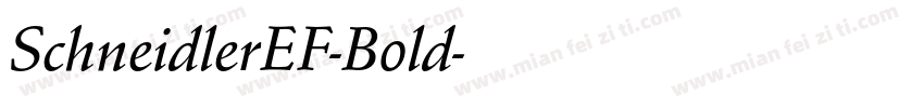 SchneidlerEF-Bold字体转换