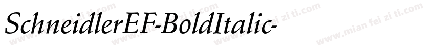 SchneidlerEF-BoldItalic字体转换