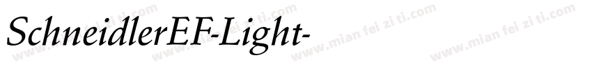 SchneidlerEF-Light字体转换