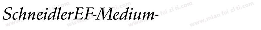 SchneidlerEF-Medium字体转换
