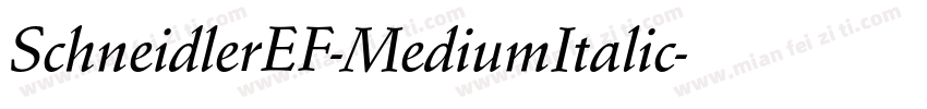 SchneidlerEF-MediumItalic字体转换