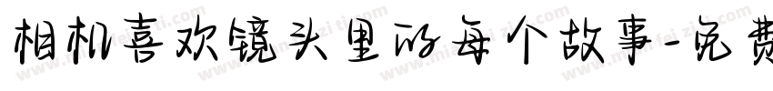 相机喜欢镜头里的每个故事字体转换
