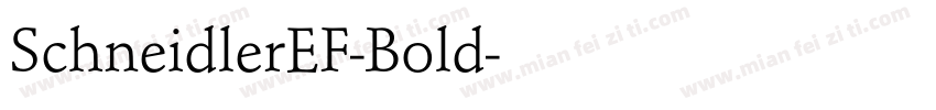 SchneidlerEF-Bold字体转换