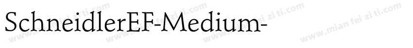 SchneidlerEF-Medium字体转换
