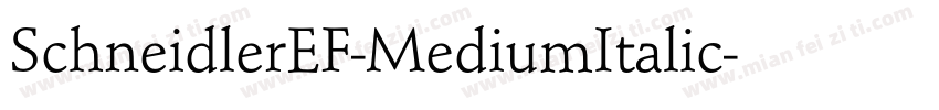SchneidlerEF-MediumItalic字体转换
