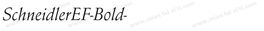 SchneidlerEF-Bold字体转换