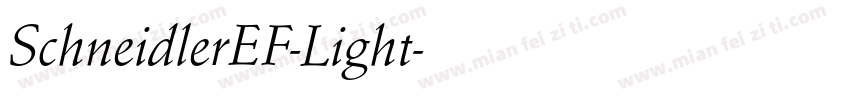 SchneidlerEF-Light字体转换