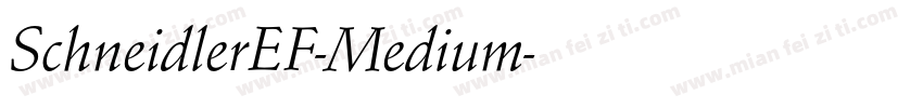SchneidlerEF-Medium字体转换