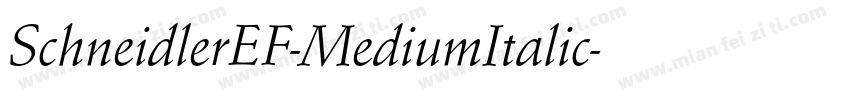 SchneidlerEF-MediumItalic字体转换