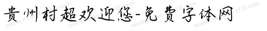 贵州村超欢迎您字体转换