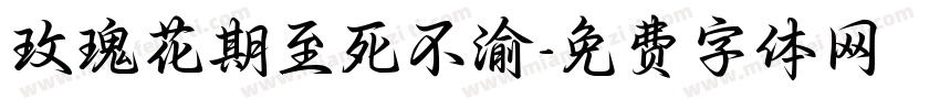 玫瑰花期至死不渝字体转换