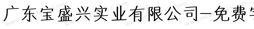广东宝盛兴实业有限公司字体转换
