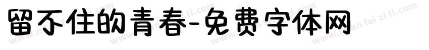 留不住的青春字体转换