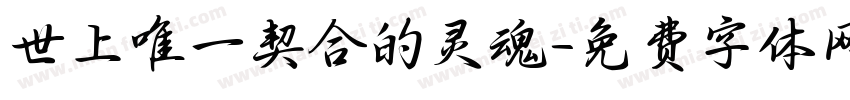 世上唯一契合的灵魂字体转换