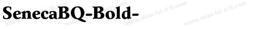SenecaBQ-Bold字体转换