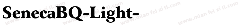 SenecaBQ-Light字体转换