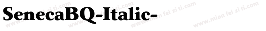SenecaBQ-Italic字体转换