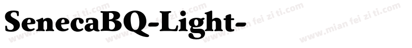 SenecaBQ-Light字体转换