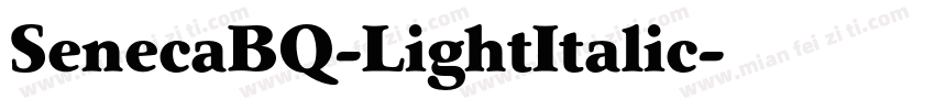 SenecaBQ-LightItalic字体转换