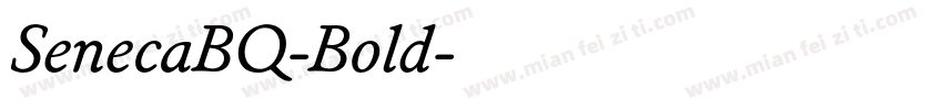 SenecaBQ-Bold字体转换