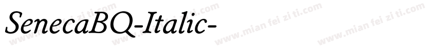 SenecaBQ-Italic字体转换