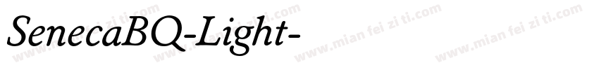SenecaBQ-Light字体转换
