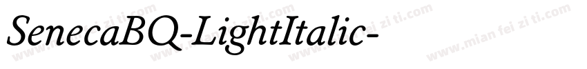 SenecaBQ-LightItalic字体转换