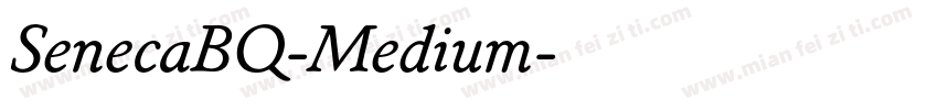 SenecaBQ-Medium字体转换
