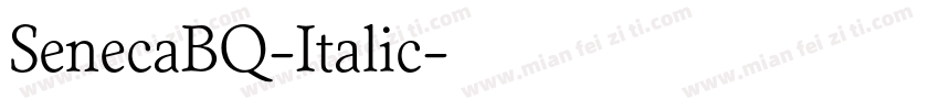 SenecaBQ-Italic字体转换