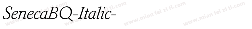SenecaBQ-Italic字体转换