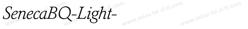 SenecaBQ-Light字体转换