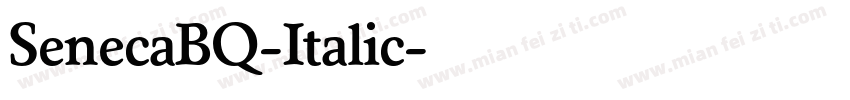 SenecaBQ-Italic字体转换
