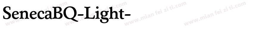 SenecaBQ-Light字体转换